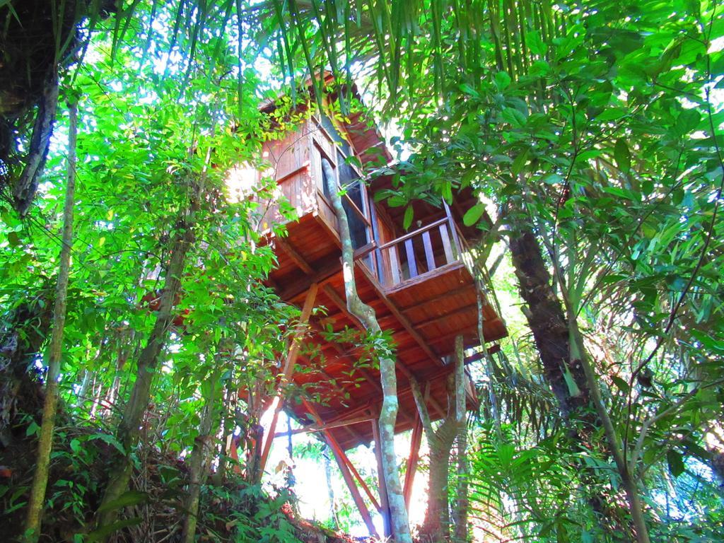 Hars Garden Tree Houses Ubud (Bali) Exterior photo