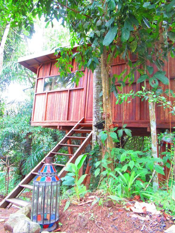 Hars Garden Tree Houses Ubud (Bali) Exterior photo